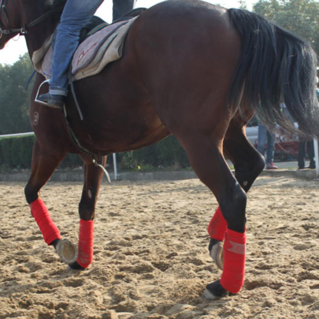 4 Rolls Fleece Polo Leg Wraps Horse Equestrian Boots Bracer Leg Protection Wraps 4 Rolls Fleece Polo Leg Wraps Horse Equestrian Boots Bracer Leg Protection Wraps