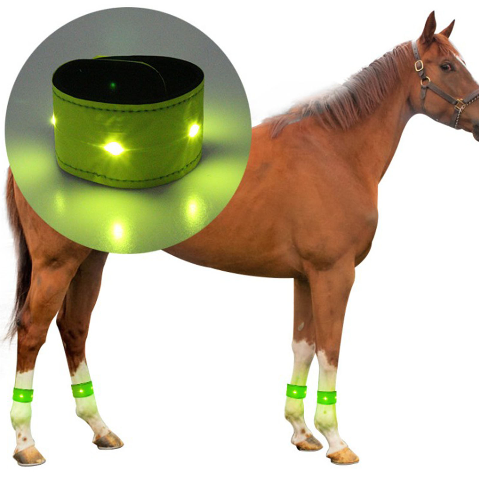 LED Luminous Horse Leg Protection Belt Luminous Equipment Reflective Leg Ankle Strap Night Walking Horse Riding
