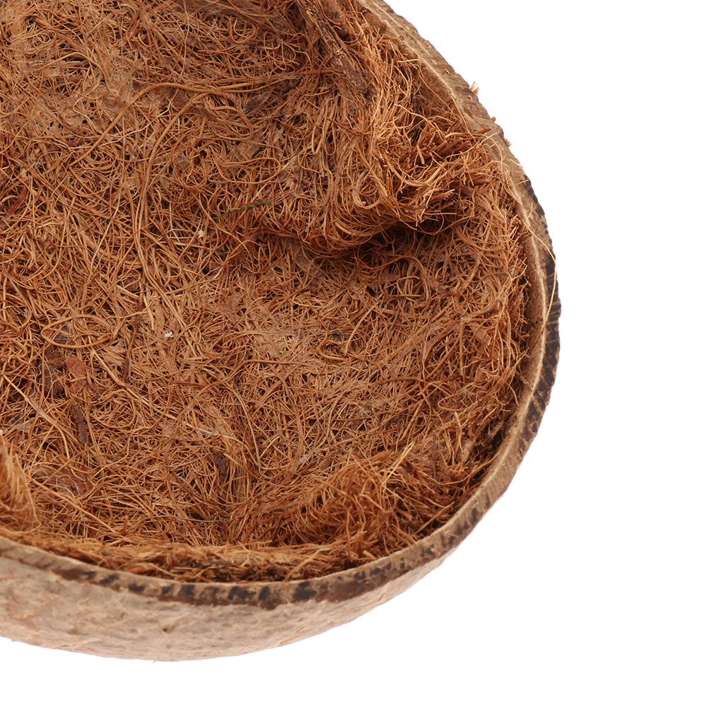 Coconut Shell Bird Nest House Hut for Pet Parrot Canary Finch Pigeon Cage Hamster Rat Gerbil Mice Cage Seed Toy Coconut Shell Bird Nest House Hut for Pet Parrot Canary Finch Pigeon Cage Hamster Rat Gerbil Mice Cage Seed Toy